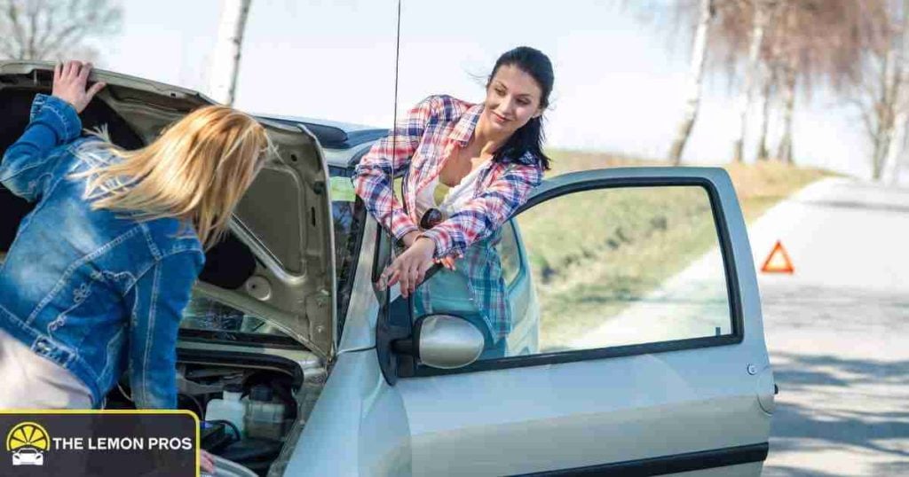 What Qualifies as a Lemon?