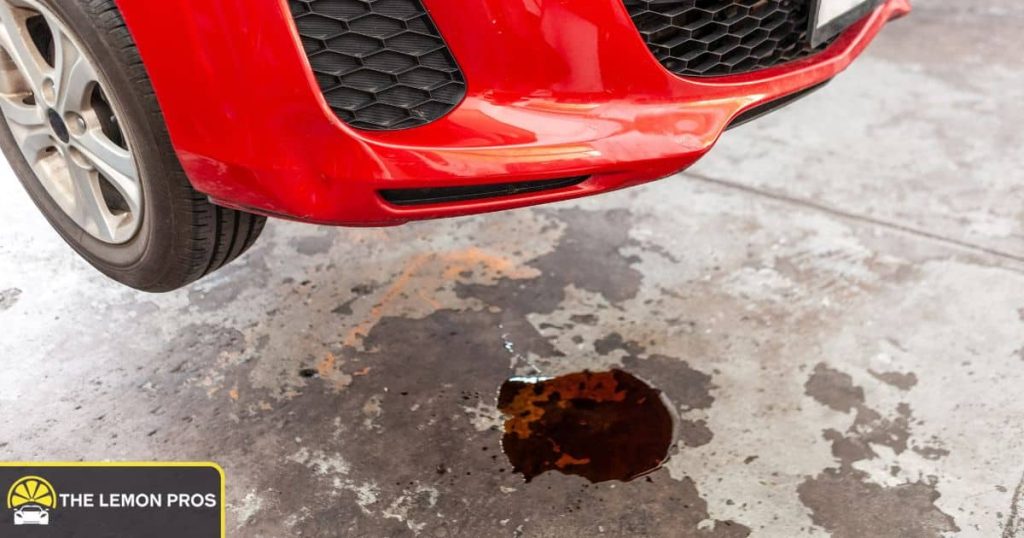 Fluid Leaks Under the Car